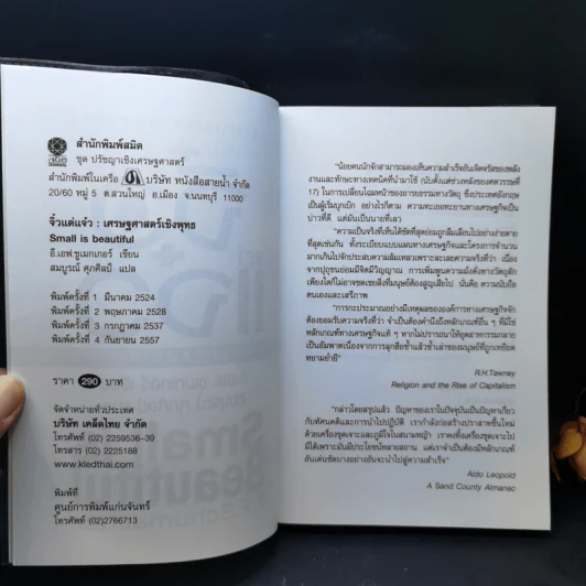 จิ๋วแต่แจ๋ว : เศรษฐศาสตร์เชิงพุทธ - E.F.Schumacher (อี.เอฟ.ชูเมกเกอร์) รูปที่ 8