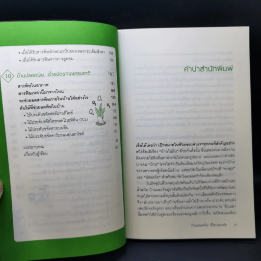 บ้านปลอดพิษ ชีวิตปลอดภัย - ผศ.ดร.พูลสุข ปรัชญานุสรณ์ รูปที่ 12