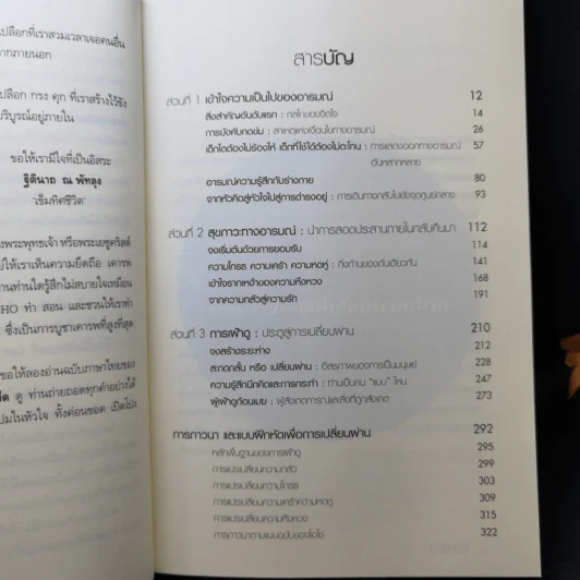 สปาอารมณ์ Emotional Wellness - Osho รูปที่ 11