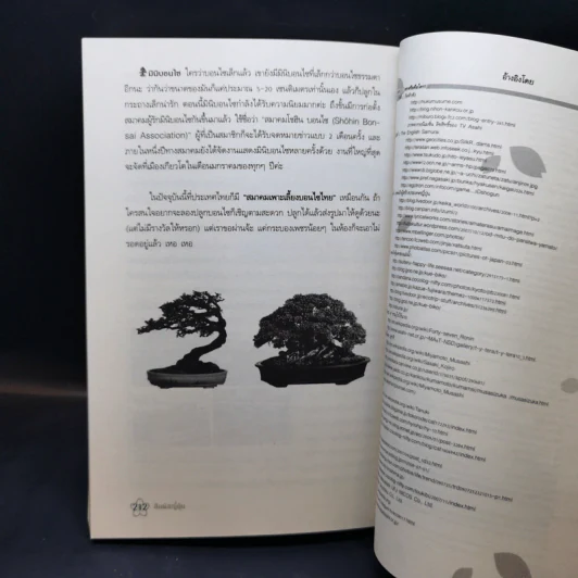 สัมผัสญี่ปุ่น - รังสินี ไชยคุณ รูปที่ 14