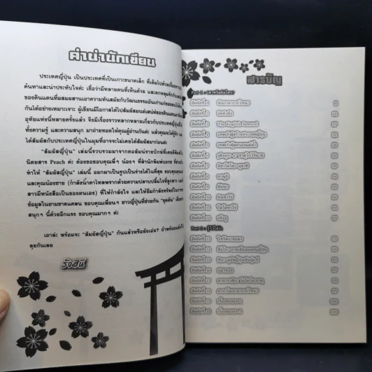 สัมผัสญี่ปุ่น - รังสินี ไชยคุณ รูปที่ 11