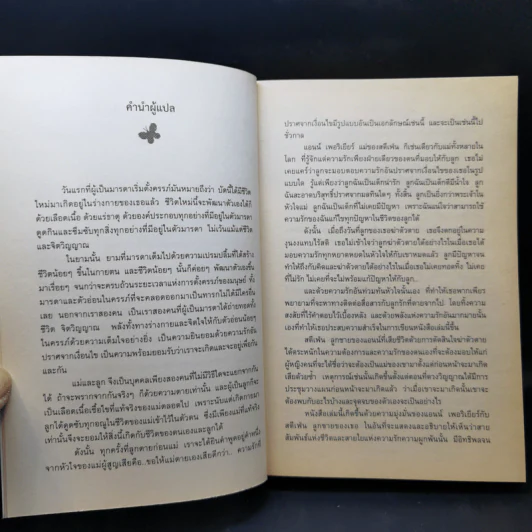 Stephen Lives! : ไม่อยากให้แม่หัวใจสลาย ผมจึงข้ามเวลากลับมาอธิบาย - Anne Puryear รูปที่ 9