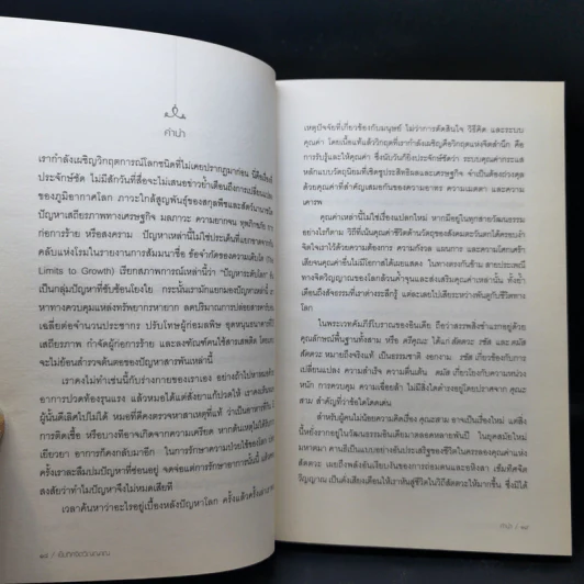 พลวัตสามสู่สมดุลชีวิต เข็มทิศจิตวิญญาณ - สาทิศ กุมาร รูปที่ 12