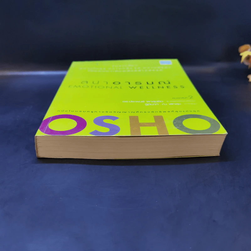 สปาอารมณ์ Emotional Wellness - Osho รูปที่ 4