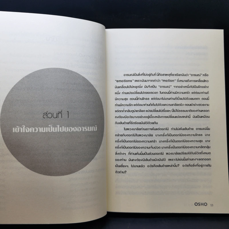 สปาอารมณ์ Emotional Wellness - Osho รูปที่ 12