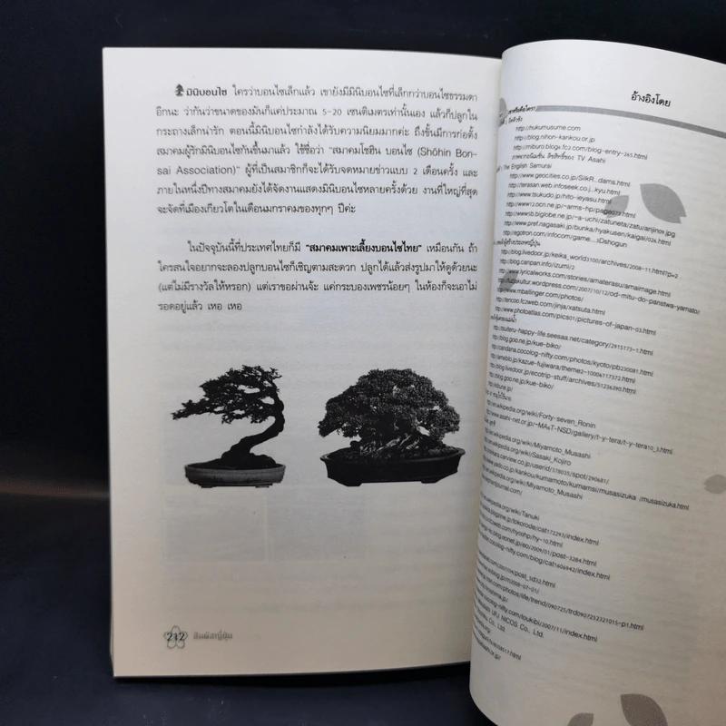 สัมผัสญี่ปุ่น - รังสินี ไชยคุณ รูปที่ 14