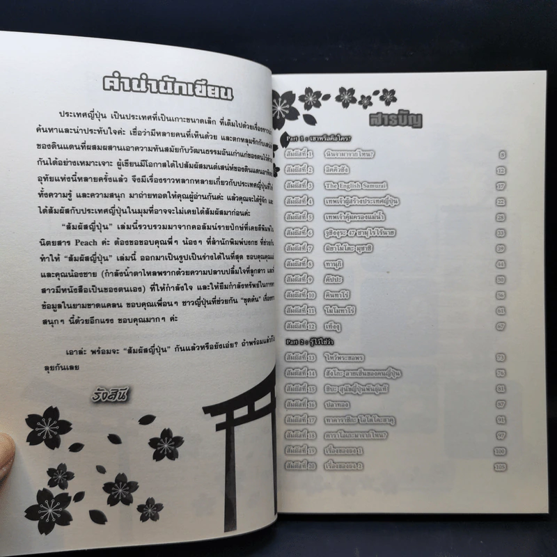 สัมผัสญี่ปุ่น - รังสินี ไชยคุณ รูปที่ 11