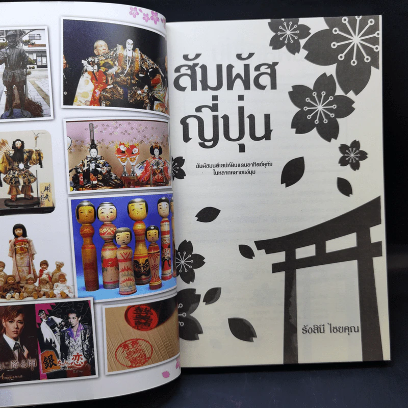 สัมผัสญี่ปุ่น - รังสินี ไชยคุณ รูปที่ 9