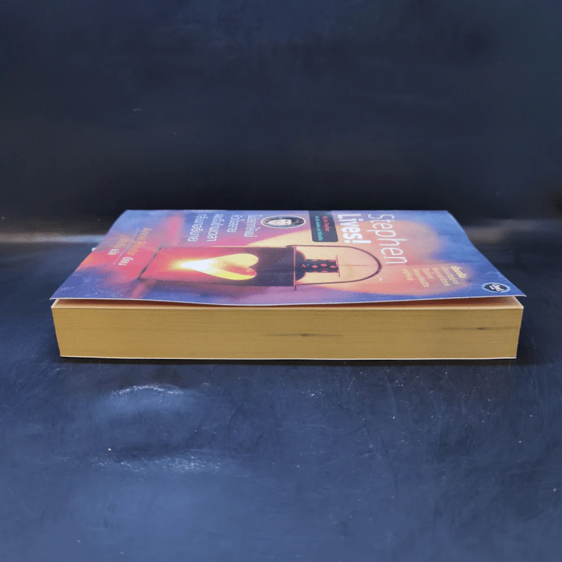 Stephen Lives! : ไม่อยากให้แม่หัวใจสลาย ผมจึงข้ามเวลากลับมาอธิบาย - Anne Puryear รูปที่ 5