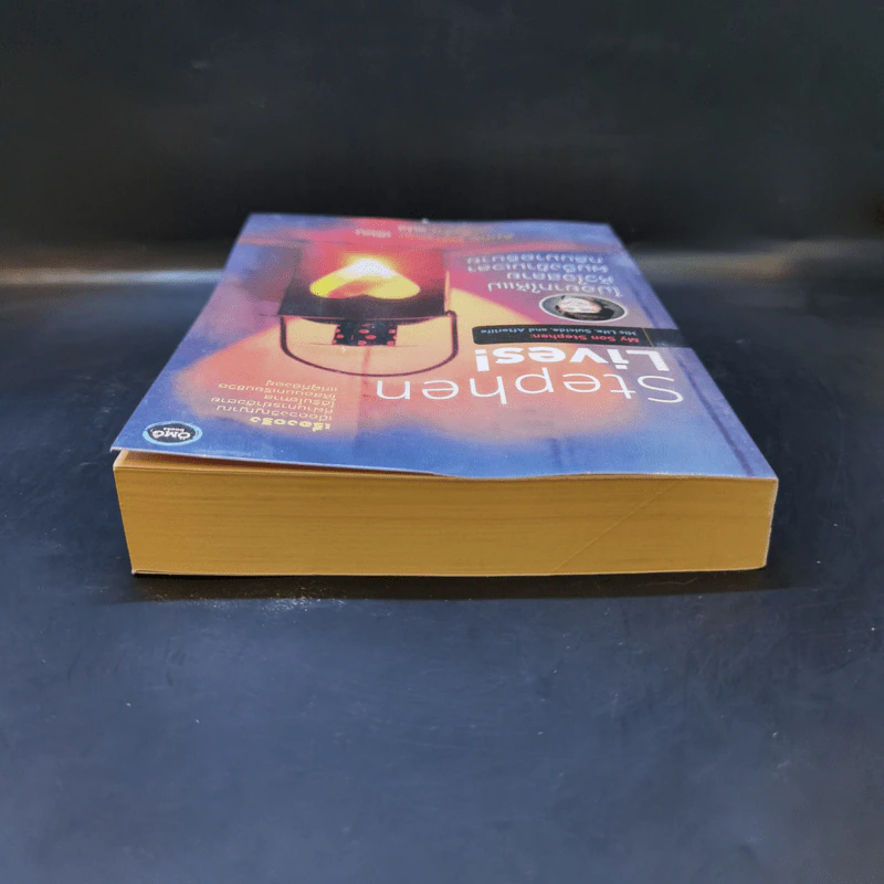 Stephen Lives! : ไม่อยากให้แม่หัวใจสลาย ผมจึงข้ามเวลากลับมาอธิบาย - Anne Puryear รูปที่ 6