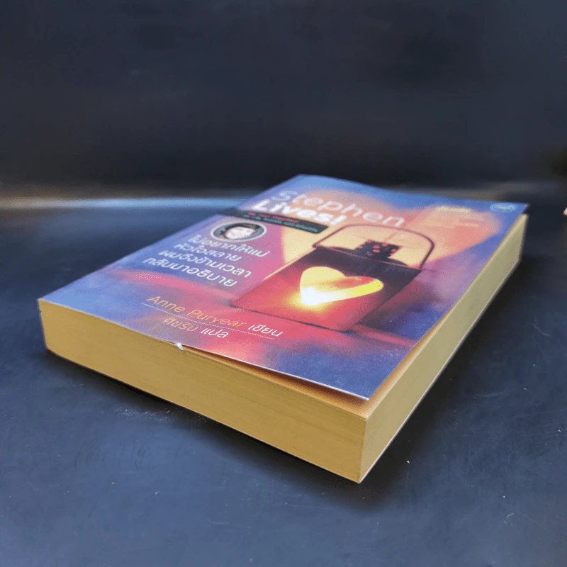 Stephen Lives! : ไม่อยากให้แม่หัวใจสลาย ผมจึงข้ามเวลากลับมาอธิบาย - Anne Puryear รูปที่ 7