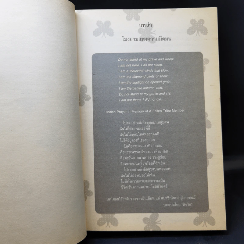 Stephen Lives! : ไม่อยากให้แม่หัวใจสลาย ผมจึงข้ามเวลากลับมาอธิบาย - Anne Puryear รูปที่ 11