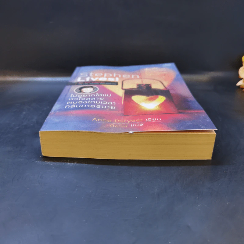 Stephen Lives! : ไม่อยากให้แม่หัวใจสลาย ผมจึงข้ามเวลากลับมาอธิบาย - Anne Puryear รูปที่ 4