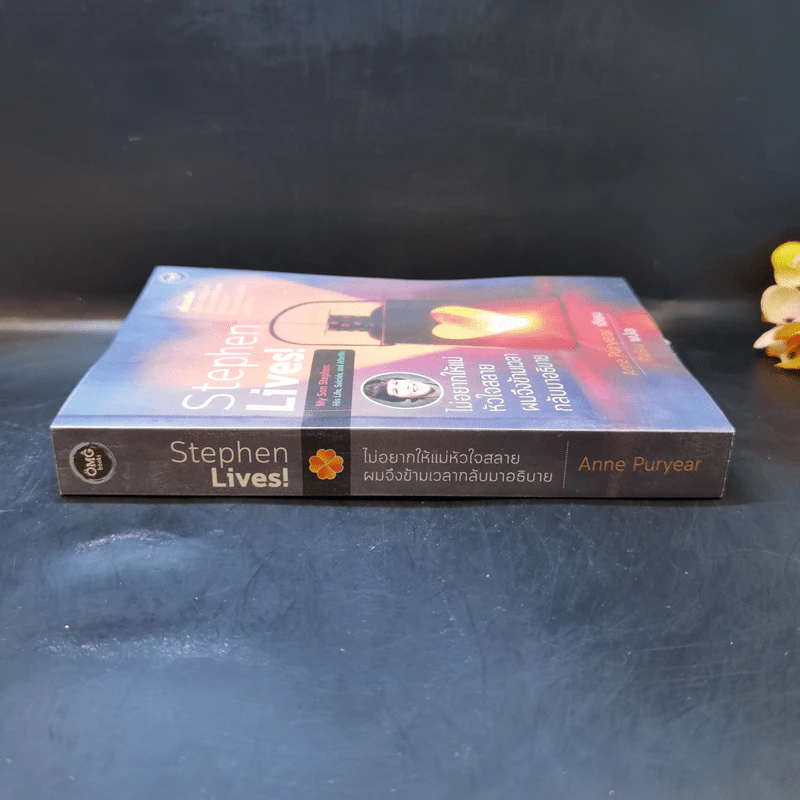Stephen Lives! : ไม่อยากให้แม่หัวใจสลาย ผมจึงข้ามเวลากลับมาอธิบาย - Anne Puryear รูปที่ 3