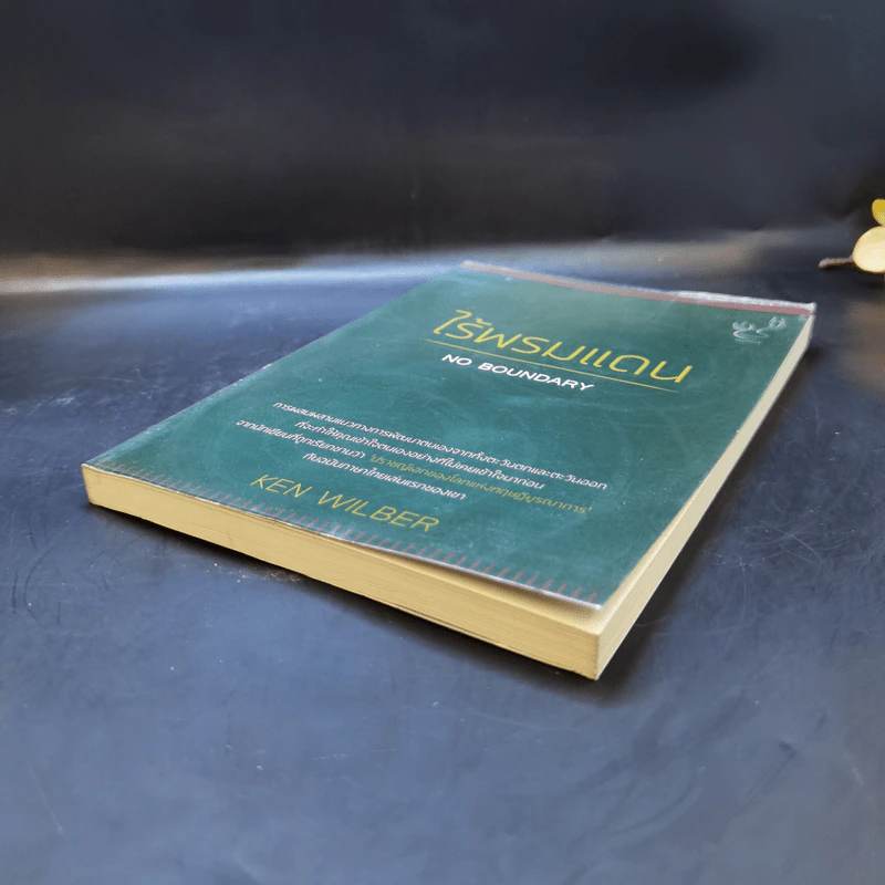 ไร้พรมแดน No Boundary - Ken Wilber รูปที่ 6