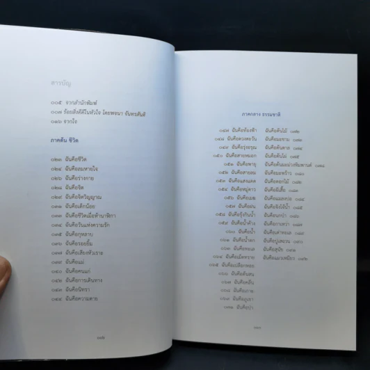 ฉันคือร้อยสิ่งดีดีในชีวิต - สดใส ขันติวรพงศ์ รูปที่ 9