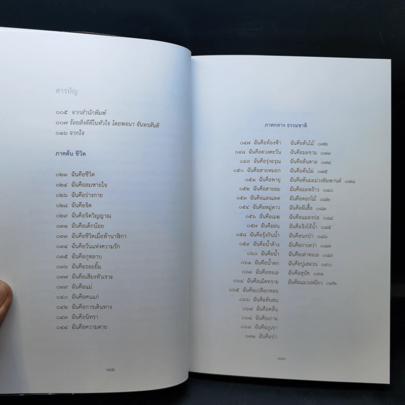 ฉันคือร้อยสิ่งดีดีในชีวิต - สดใส ขันติวรพงศ์ รูปที่ 9