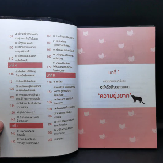 หนังสือที่อ่านเมื่อทุกอย่างสุดจะทน - คะสึโกะ อิชิฮะระ รูปที่ 11
