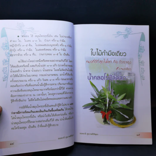 ยอดยาดี สุขภาพดี วิถีพุทธ - ใจเพชร กล้าจน (หมอเขียว) รูปที่ 12