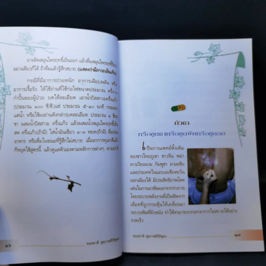 ยอดยาดี สุขภาพดี วิถีพุทธ - ใจเพชร กล้าจน (หมอเขียว) รูปที่ 13