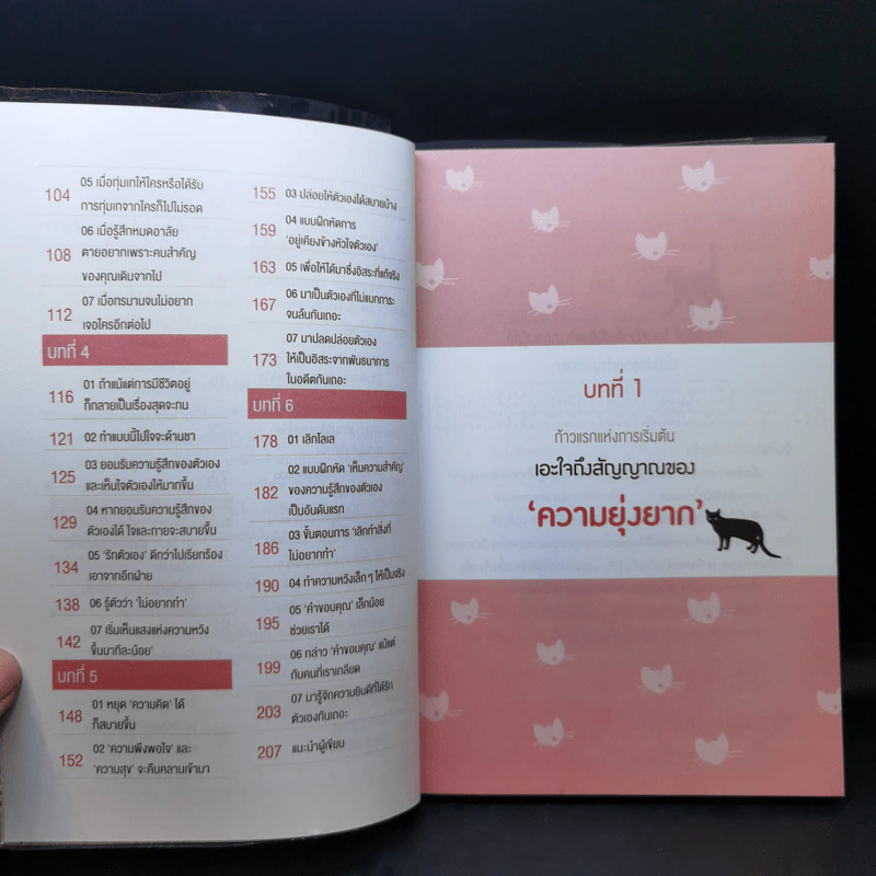 หนังสือที่อ่านเมื่อทุกอย่างสุดจะทน - คะสึโกะ อิชิฮะระ รูปที่ 11