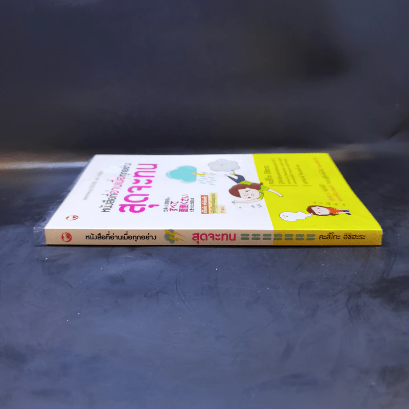 หนังสือที่อ่านเมื่อทุกอย่างสุดจะทน - คะสึโกะ อิชิฮะระ รูปที่ 3
