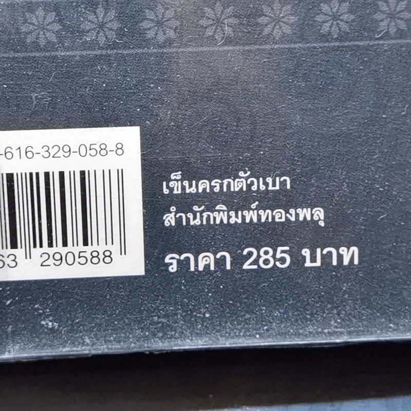 เข็นครกตัวเบา - คุณหญิงจำนงศรี หาญเจนลักษณ์ รูปที่ 14