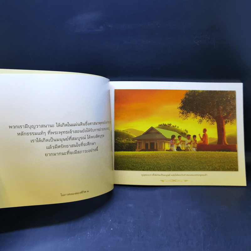 แนวทางการปฏิบัติธรรมในพระพุทธศาสนา - หลวงพ่อปราโมทย์ รูปที่ 10