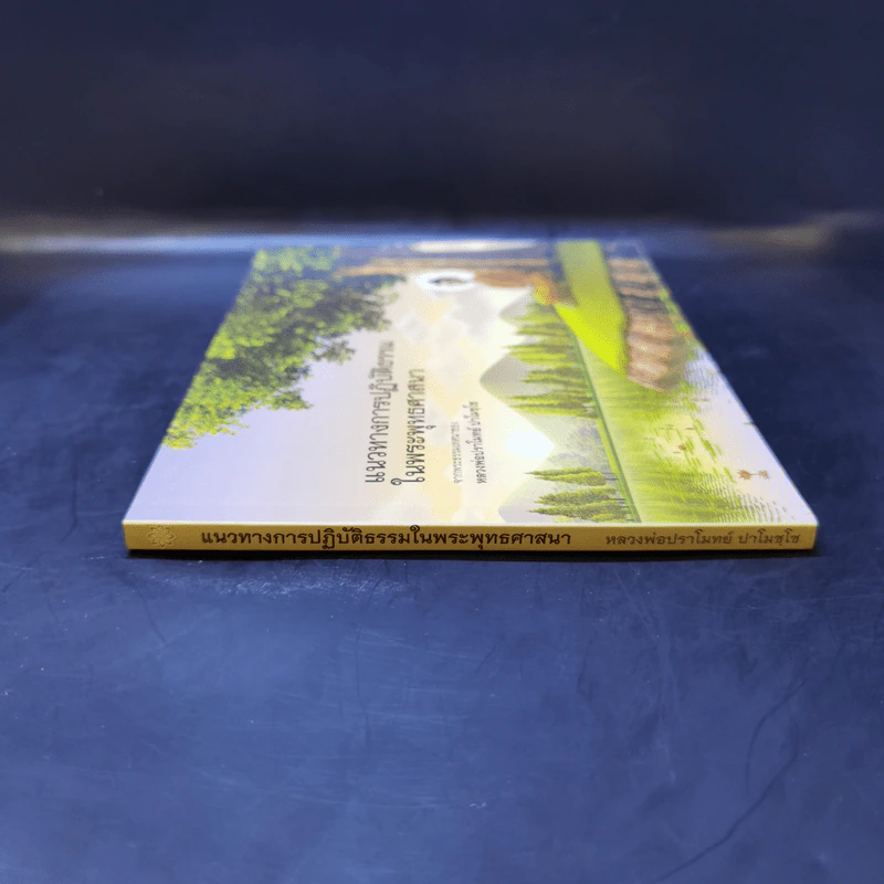 แนวทางการปฏิบัติธรรมในพระพุทธศาสนา - หลวงพ่อปราโมทย์ รูปที่ 3