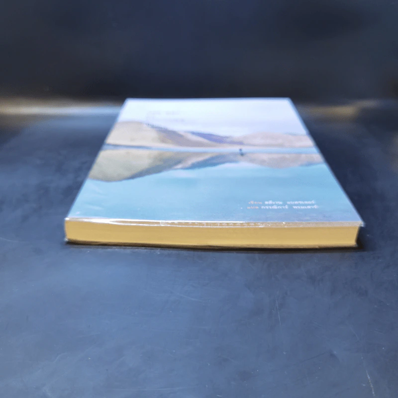 ศิลปะการปลีกวิเวก The Art of Solitude - Stephen Batchelor (สตีเวน แบตชเลอร์) รูปที่ 4