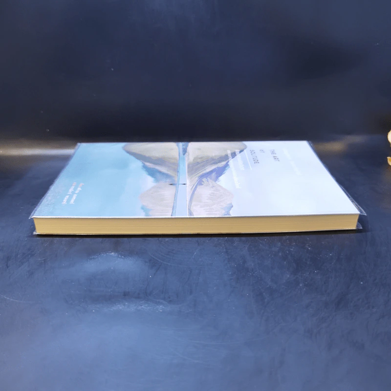 ศิลปะการปลีกวิเวก The Art of Solitude - Stephen Batchelor (สตีเวน แบตชเลอร์) รูปที่ 5