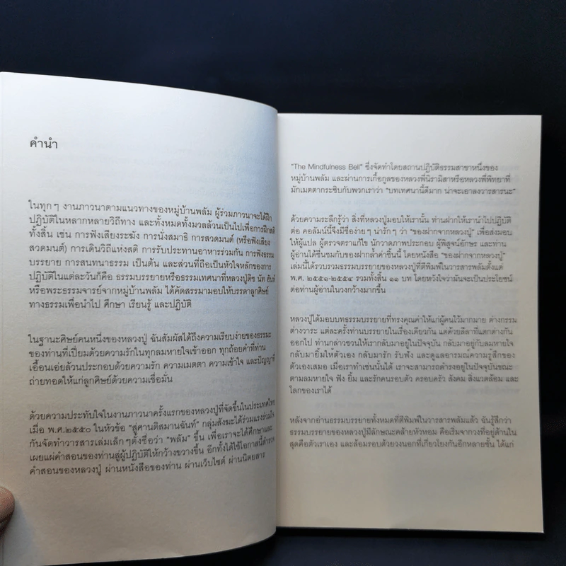 ของฝากจากหลวงปู่ - ติช นัท ฮันห์ รูปที่ 10