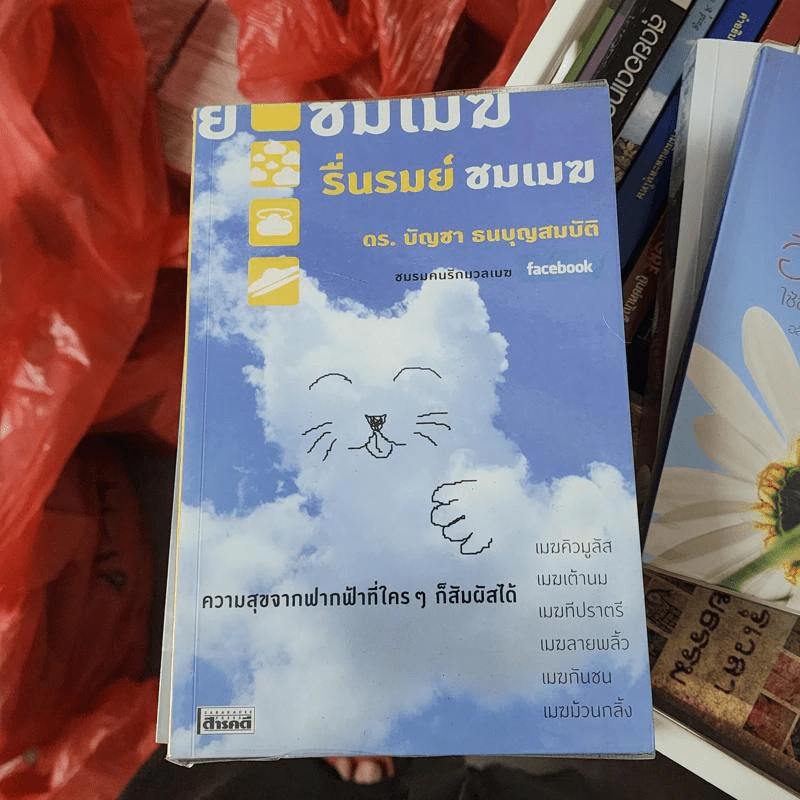 รื่นรมย์ชมเมฆ - ดร.บัญชา ธนบุญสมบัติ รูปที่ 1