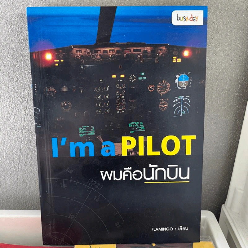 I'm a Pilot ผมคือนักบิน - Flamingo รูปที่ 1
