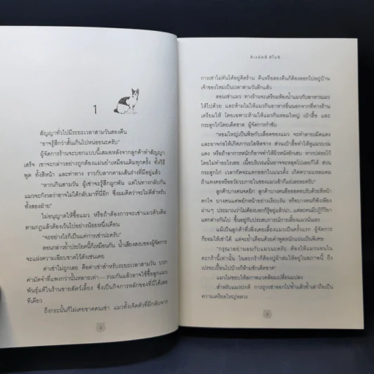 ขอให้แมวโอบกอดคุณ - ชิเงมัตสึ คิโยชิ (Kiyoshi Shigematsu) รูปที่ 11