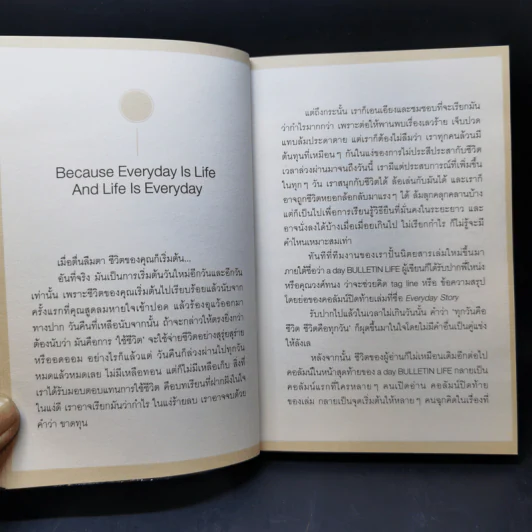 Everyday Story - วงศ์ทนง ชัยณรงค์สิงห์ รูปที่ 11