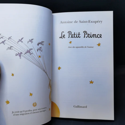 The Little Prince - Le Petit Prince รูปที่ 8