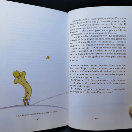 The Little Prince - Le Petit Prince รูปที่ 12