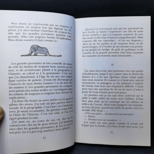The Little Prince - Le Petit Prince รูปที่ 11