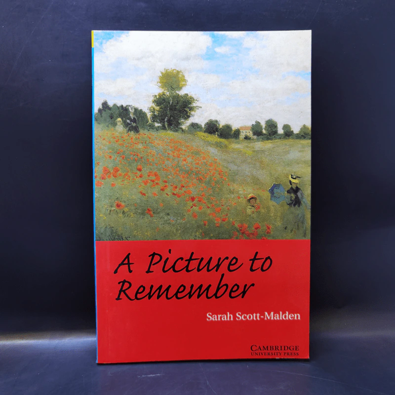 A Picture to Remember - Sarah Scott-Malden รูปที่ 1
