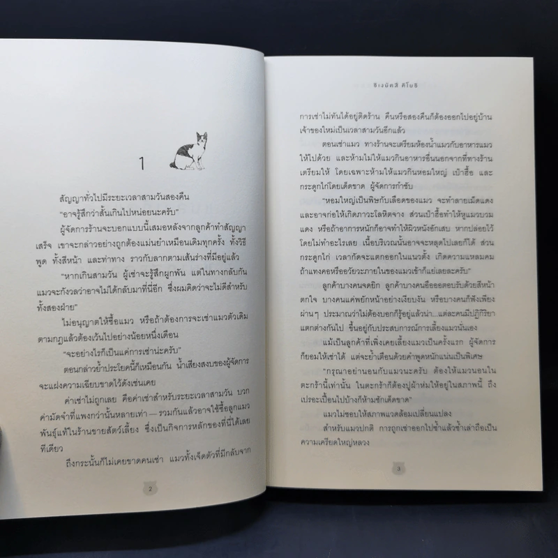 ขอให้แมวโอบกอดคุณ - ชิเงมัตสึ คิโยชิ (Kiyoshi Shigematsu) รูปที่ 11