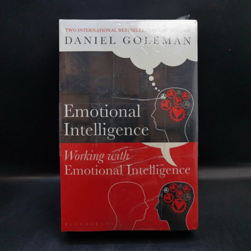 Emotional Intelligence - Daniel Goleman รูปที่ 1