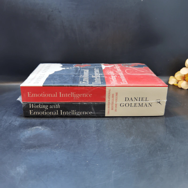 Emotional Intelligence - Daniel Goleman รูปที่ 3