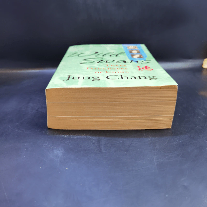 Wild Swans - Jung Chang รูปที่ 4