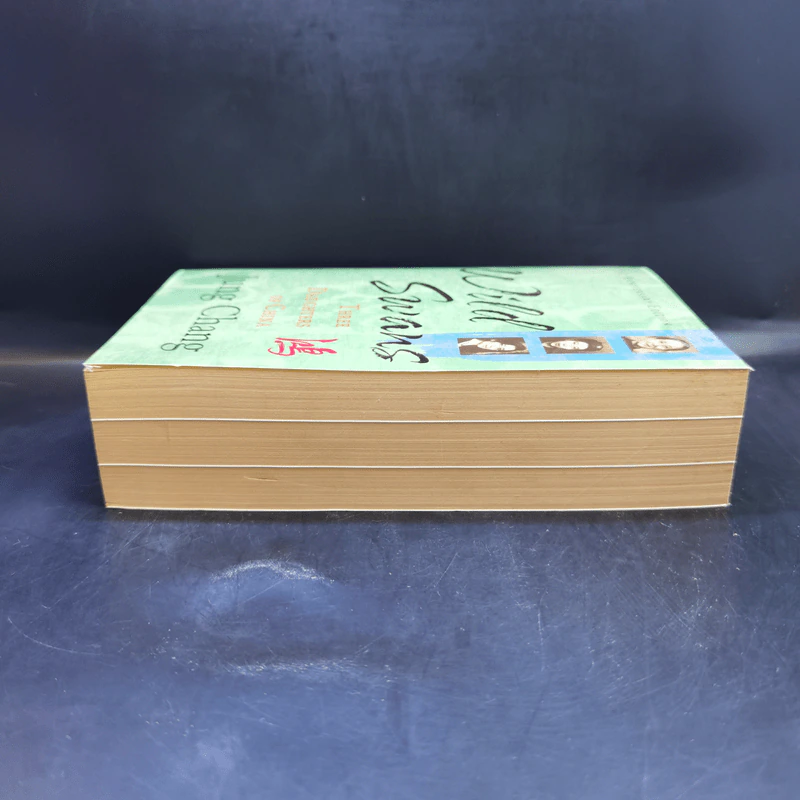 Wild Swans - Jung Chang รูปที่ 5