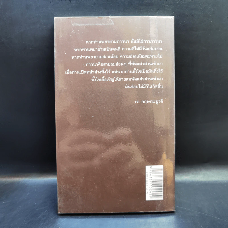 บทเพลงแห่งภาวนา - เจ. กฤษณะมูรติ รูปที่ 2