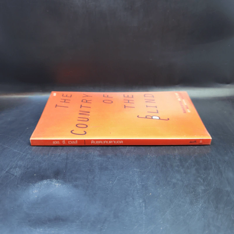ดินแดนคนตาบอด The Country of the Blind - H.G.Wells รูปที่ 3