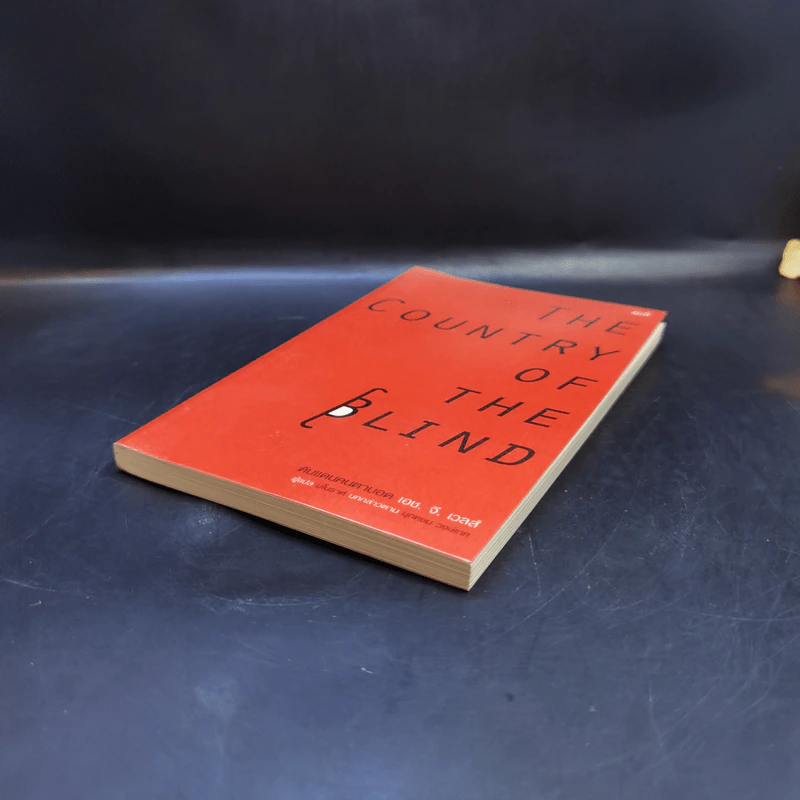 ดินแดนคนตาบอด The Country of the Blind - H.G.Wells รูปที่ 7