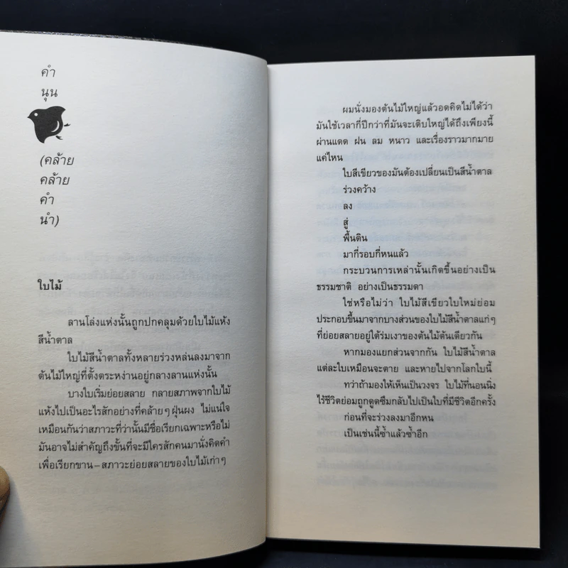 สิ่งที่ค้นพบระหว่างนั่งเฉยเฉย - นิ้วกลม รูปที่ 12