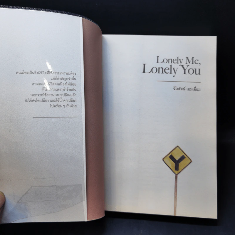Lonely Me, Lonely You - วิไลรัตน์ เอมเอี่ยม รูปที่ 8